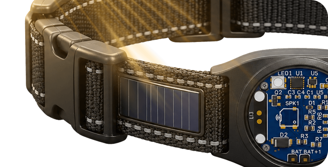 Concept render of the solar collar drawing power from sunlight — in development.